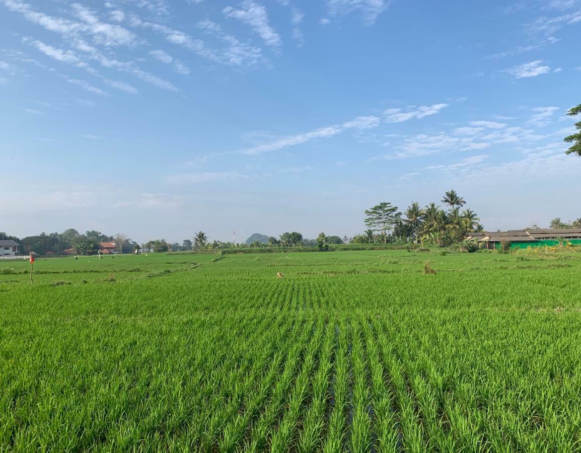 Villa Saia Ubud Bagian luar foto