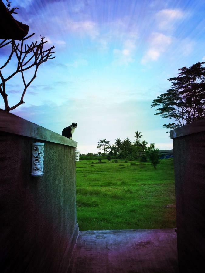 Villa Saia Ubud Bagian luar foto
